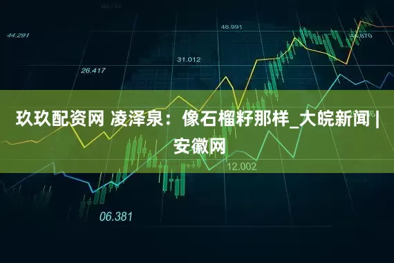玖玖配资网 凌泽泉：像石榴籽那样_大皖新闻 | 安徽网