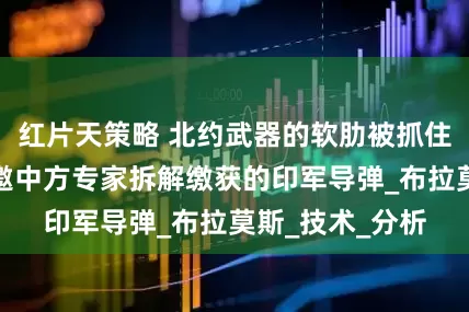 红片天策略 北约武器的软肋被抓住？外媒：巴铁邀中方专家拆解缴获的印军导弹_布拉莫斯_技术_分析