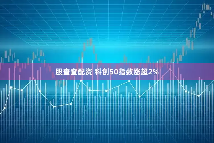 股查查配资 科创50指数涨超2%