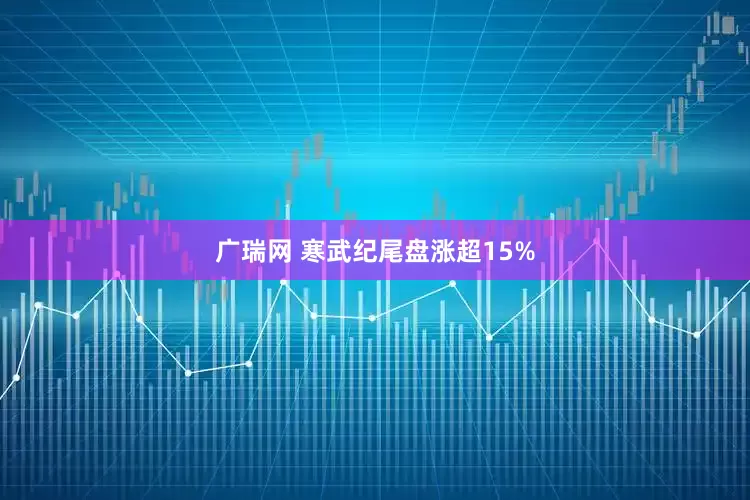 广瑞网 寒武纪尾盘涨超15%