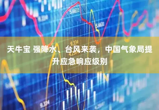 天牛宝 强降水、台风来袭，中国气象局提升应急响应级别